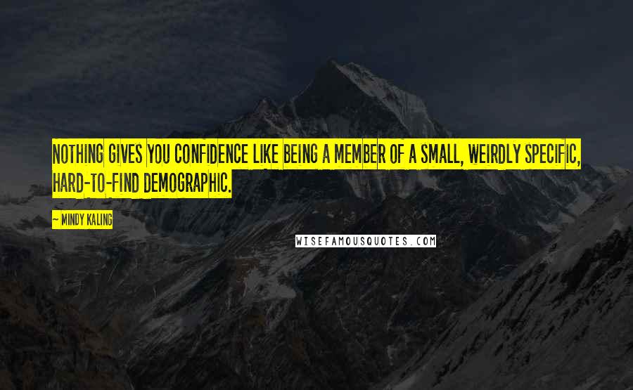 Mindy Kaling Quotes: Nothing gives you confidence like being a member of a small, weirdly specific, hard-to-find demographic.