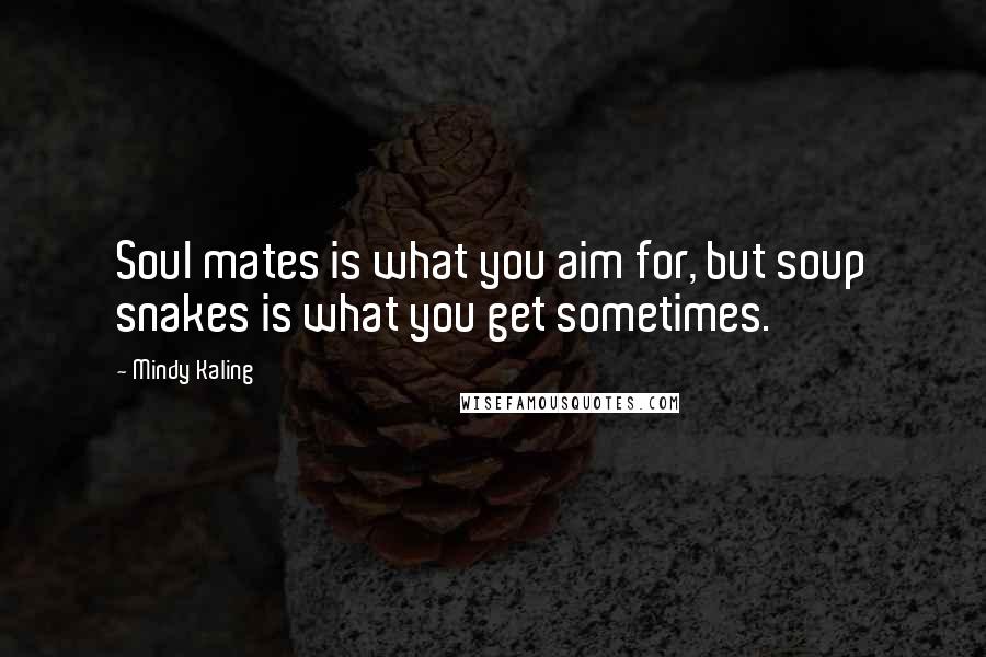 Mindy Kaling Quotes: Soul mates is what you aim for, but soup snakes is what you get sometimes.