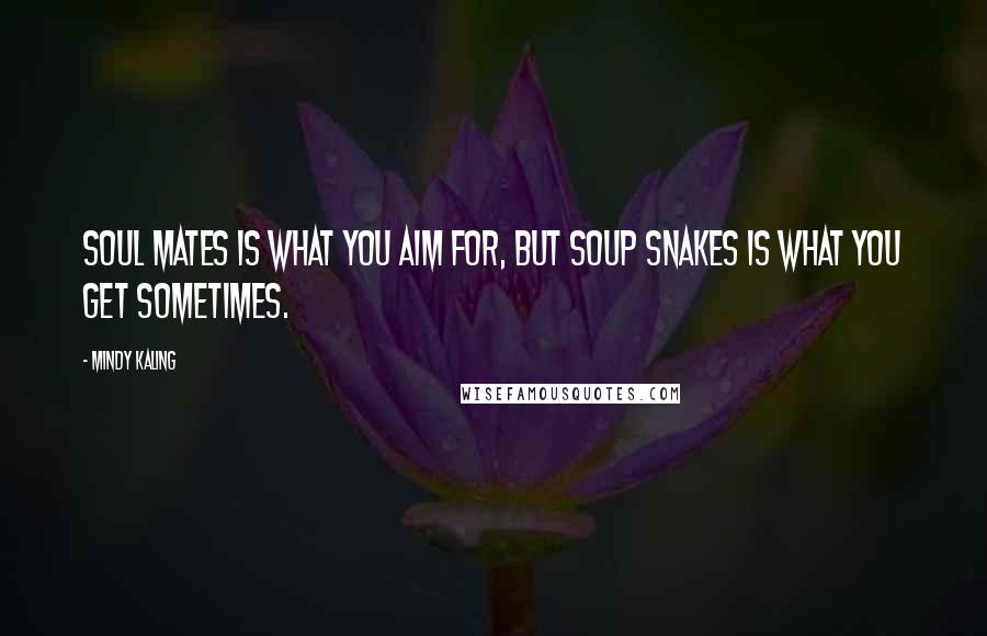 Mindy Kaling Quotes: Soul mates is what you aim for, but soup snakes is what you get sometimes.