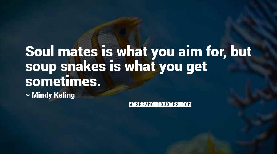 Mindy Kaling Quotes: Soul mates is what you aim for, but soup snakes is what you get sometimes.