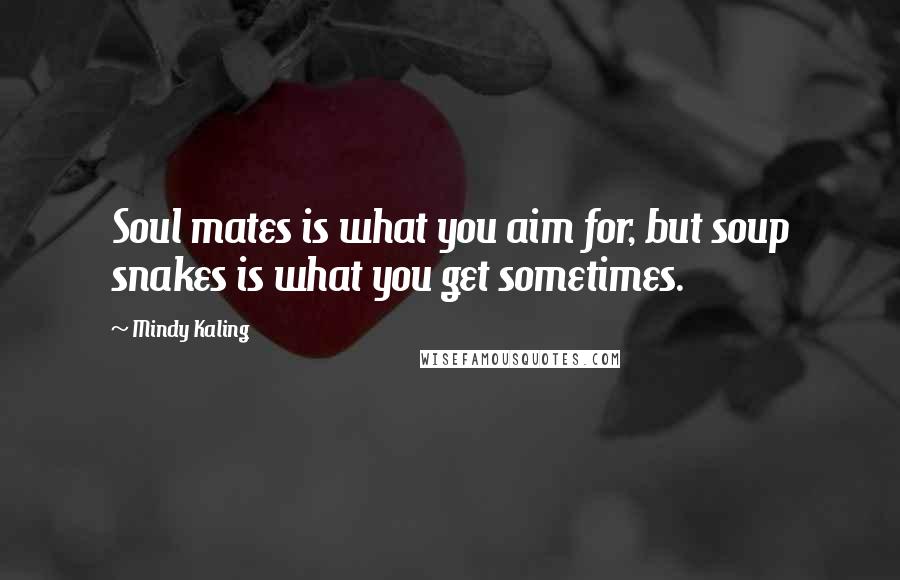 Mindy Kaling Quotes: Soul mates is what you aim for, but soup snakes is what you get sometimes.