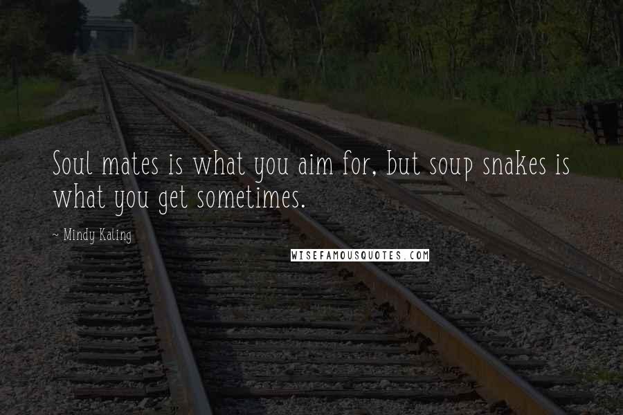 Mindy Kaling Quotes: Soul mates is what you aim for, but soup snakes is what you get sometimes.