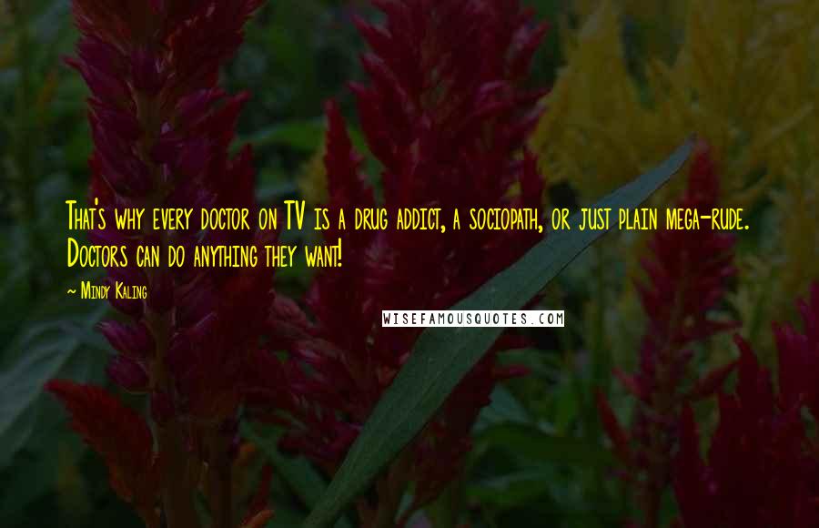 Mindy Kaling Quotes: That's why every doctor on TV is a drug addict, a sociopath, or just plain mega-rude. Doctors can do anything they want!