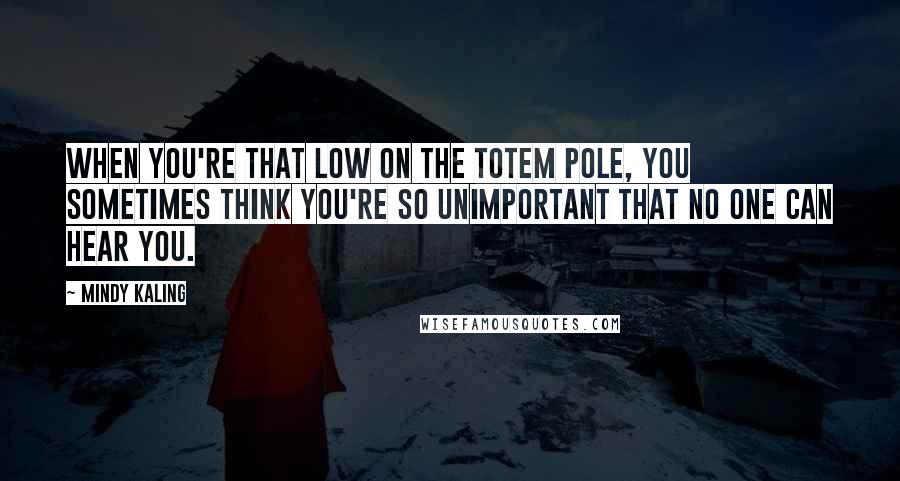 Mindy Kaling Quotes: When you're that low on the totem pole, you sometimes think you're so unimportant that no one can hear you.