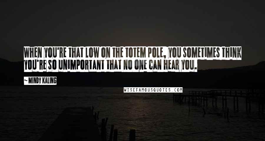 Mindy Kaling Quotes: When you're that low on the totem pole, you sometimes think you're so unimportant that no one can hear you.