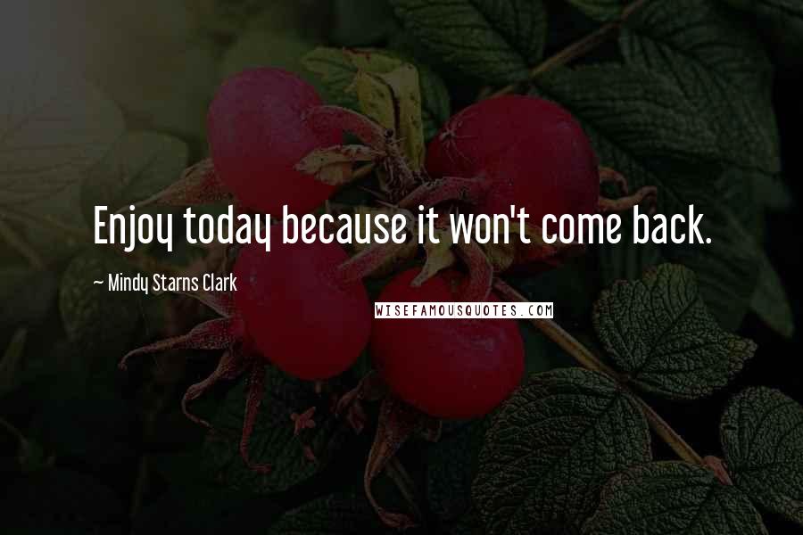 Mindy Starns Clark Quotes: Enjoy today because it won't come back.