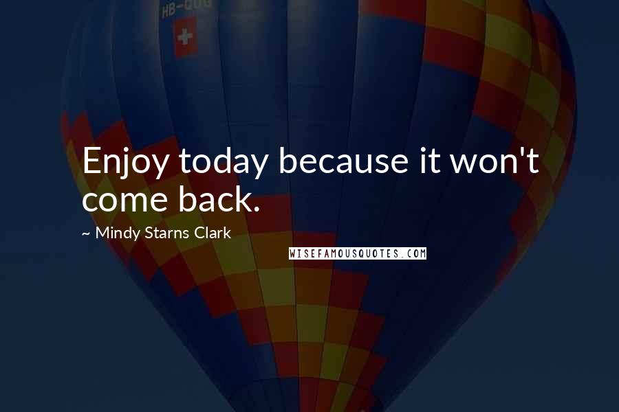 Mindy Starns Clark Quotes: Enjoy today because it won't come back.