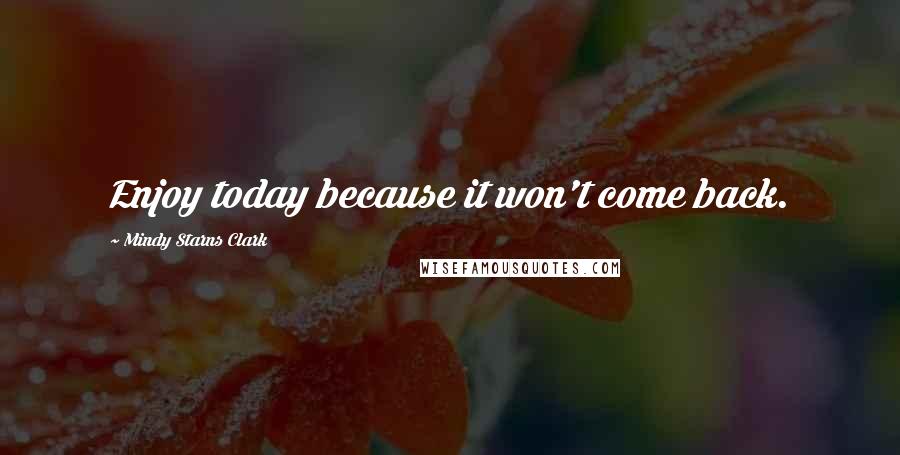 Mindy Starns Clark Quotes: Enjoy today because it won't come back.