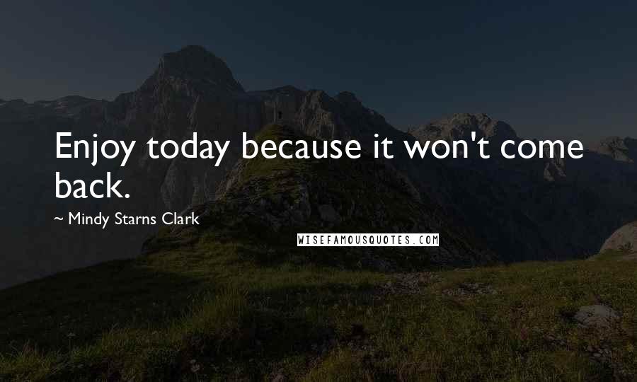 Mindy Starns Clark Quotes: Enjoy today because it won't come back.