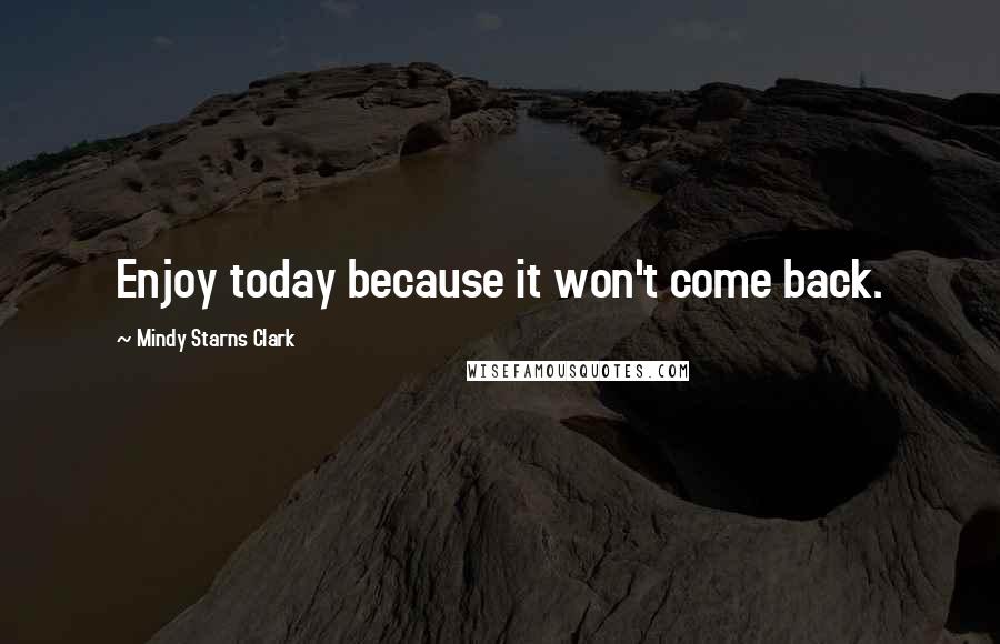 Mindy Starns Clark Quotes: Enjoy today because it won't come back.