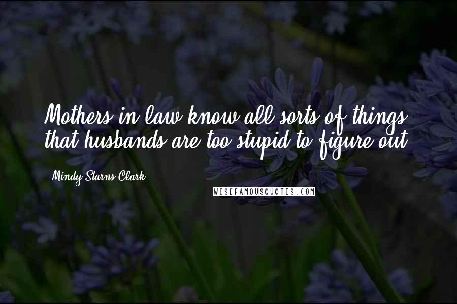 Mindy Starns Clark Quotes: Mothers-in-law know all sorts of things that husbands are too stupid to figure out.