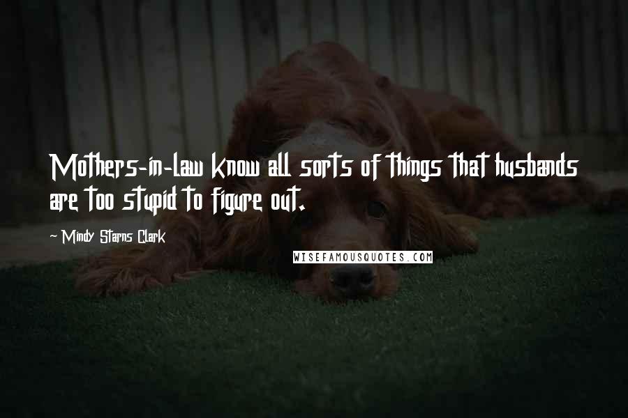 Mindy Starns Clark Quotes: Mothers-in-law know all sorts of things that husbands are too stupid to figure out.