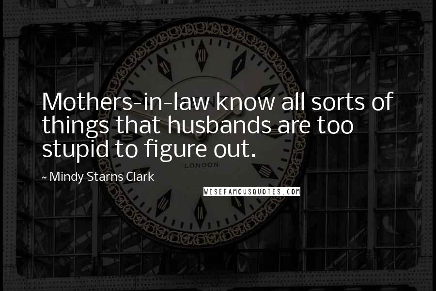 Mindy Starns Clark Quotes: Mothers-in-law know all sorts of things that husbands are too stupid to figure out.