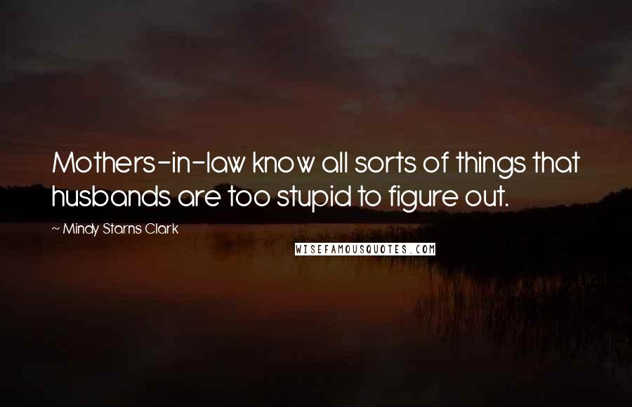Mindy Starns Clark Quotes: Mothers-in-law know all sorts of things that husbands are too stupid to figure out.