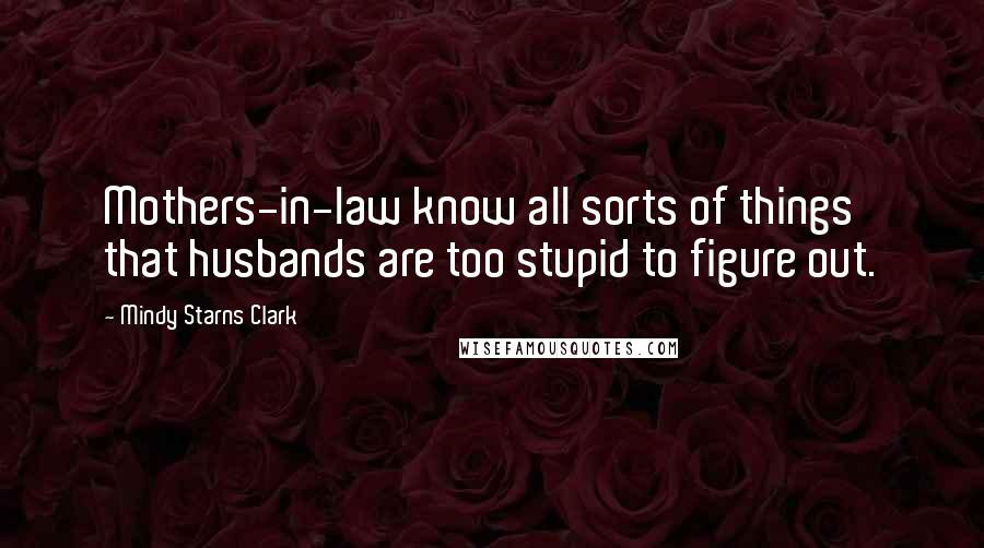 Mindy Starns Clark Quotes: Mothers-in-law know all sorts of things that husbands are too stupid to figure out.