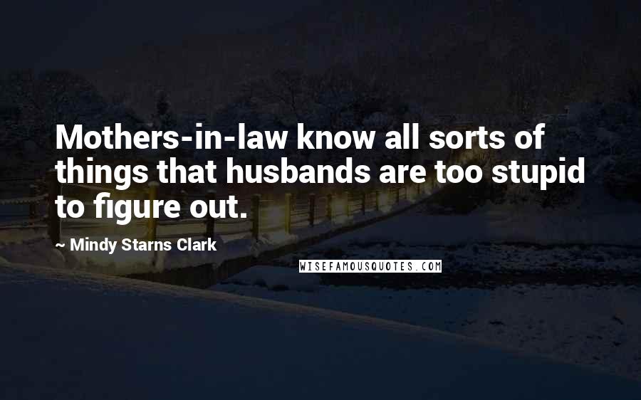 Mindy Starns Clark Quotes: Mothers-in-law know all sorts of things that husbands are too stupid to figure out.