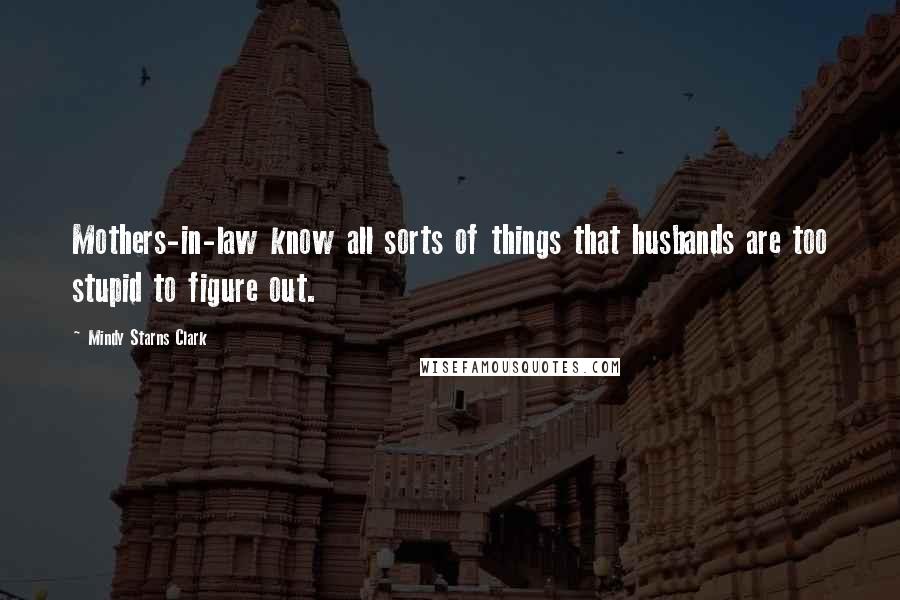 Mindy Starns Clark Quotes: Mothers-in-law know all sorts of things that husbands are too stupid to figure out.