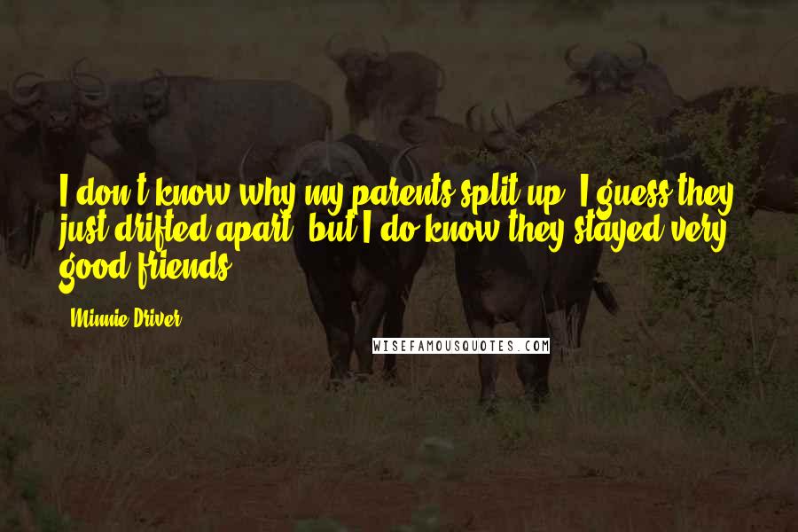 Minnie Driver Quotes: I don't know why my parents split up. I guess they just drifted apart, but I do know they stayed very good friends.