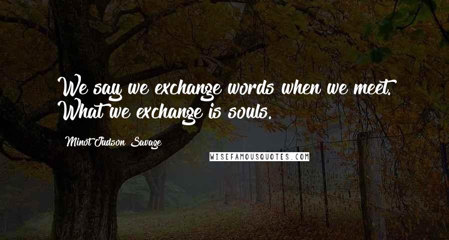 Minot Judson Savage Quotes: We say we exchange words when we meet. What we exchange is souls.