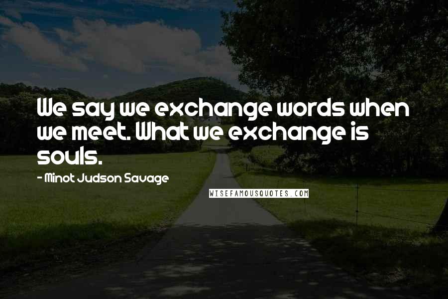 Minot Judson Savage Quotes: We say we exchange words when we meet. What we exchange is souls.