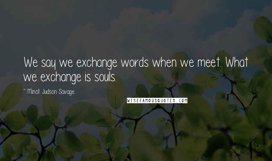 Minot Judson Savage Quotes: We say we exchange words when we meet. What we exchange is souls.