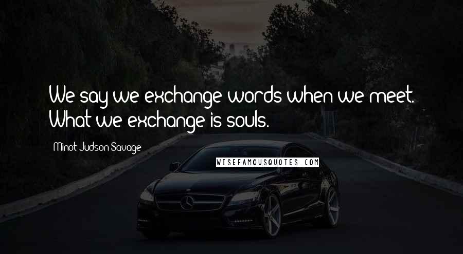 Minot Judson Savage Quotes: We say we exchange words when we meet. What we exchange is souls.