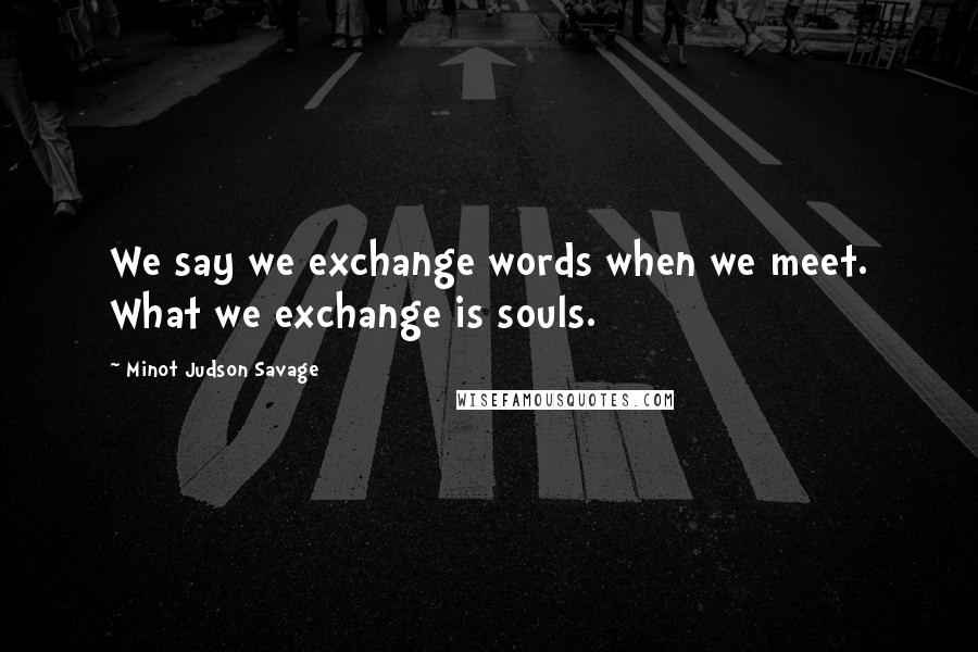 Minot Judson Savage Quotes: We say we exchange words when we meet. What we exchange is souls.