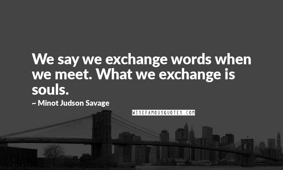 Minot Judson Savage Quotes: We say we exchange words when we meet. What we exchange is souls.