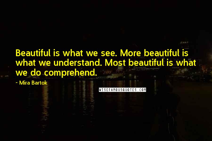 Mira Bartok Quotes: Beautiful is what we see. More beautiful is what we understand. Most beautiful is what we do comprehend.