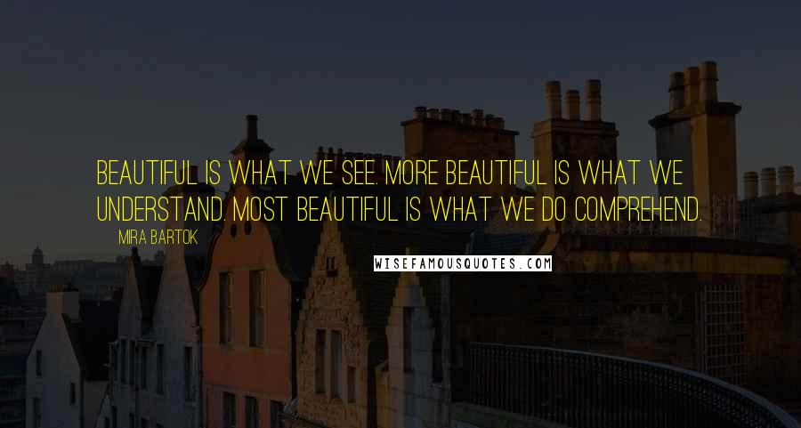 Mira Bartok Quotes: Beautiful is what we see. More beautiful is what we understand. Most beautiful is what we do comprehend.