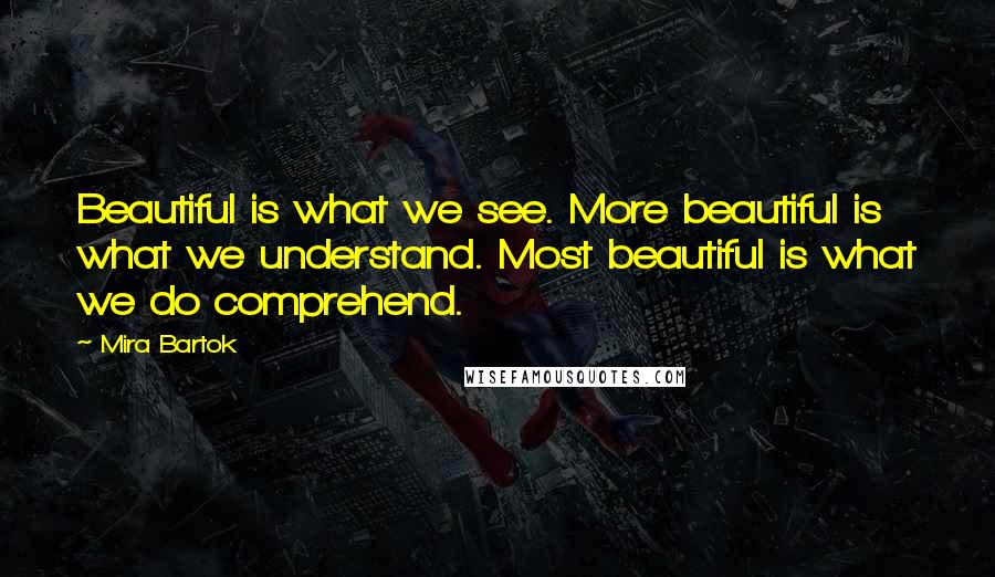 Mira Bartok Quotes: Beautiful is what we see. More beautiful is what we understand. Most beautiful is what we do comprehend.