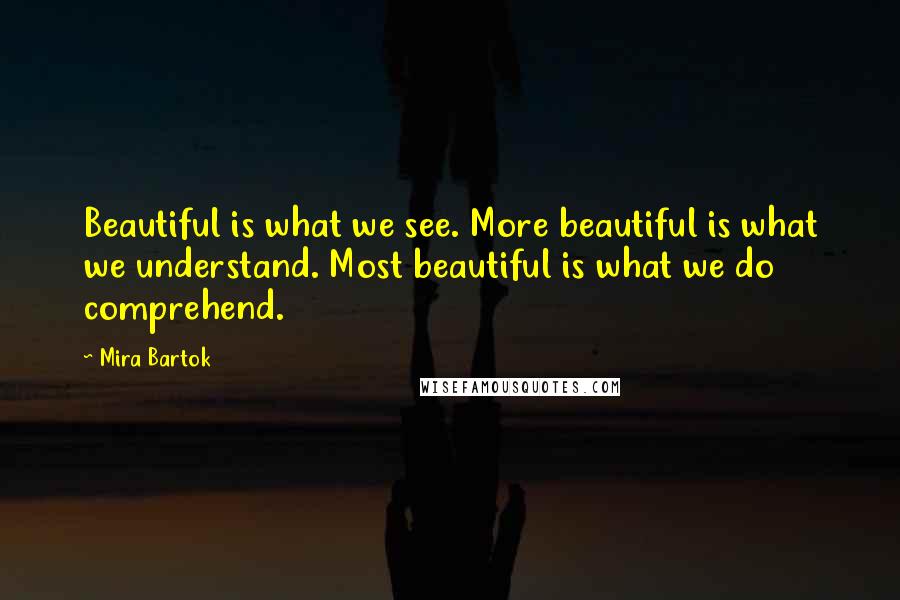 Mira Bartok Quotes: Beautiful is what we see. More beautiful is what we understand. Most beautiful is what we do comprehend.