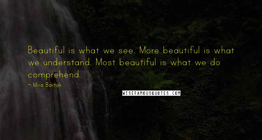 Mira Bartok Quotes: Beautiful is what we see. More beautiful is what we understand. Most beautiful is what we do comprehend.