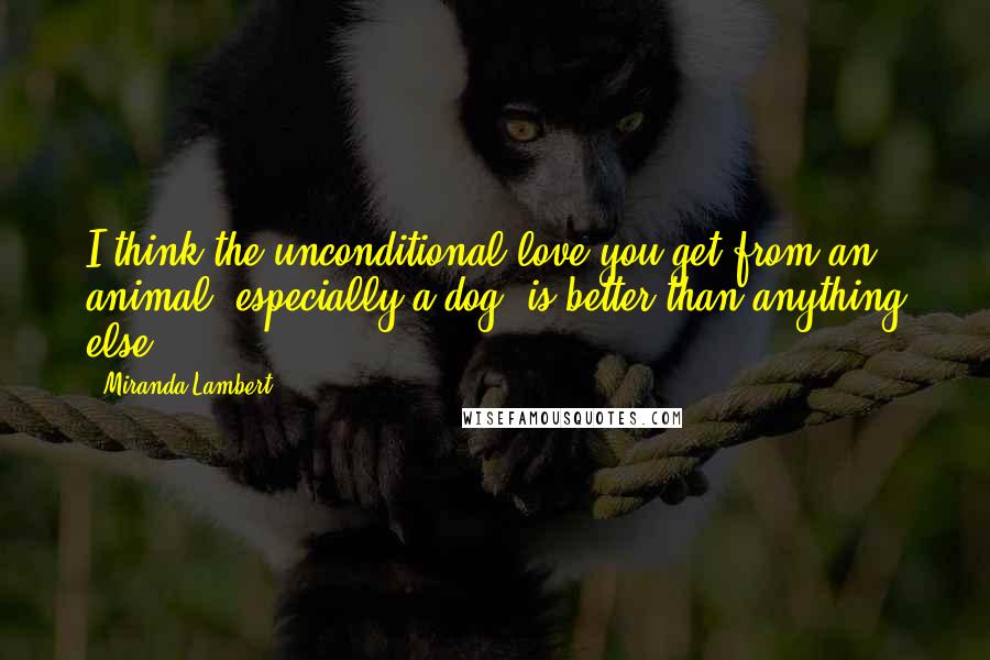 Miranda Lambert Quotes: I think the unconditional love you get from an animal, especially a dog, is better than anything else.