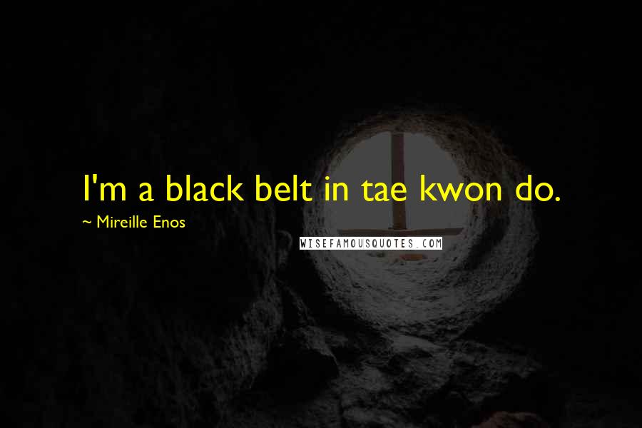 Mireille Enos Quotes: I'm a black belt in tae kwon do.