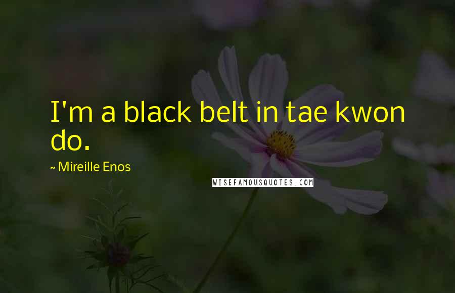 Mireille Enos Quotes: I'm a black belt in tae kwon do.