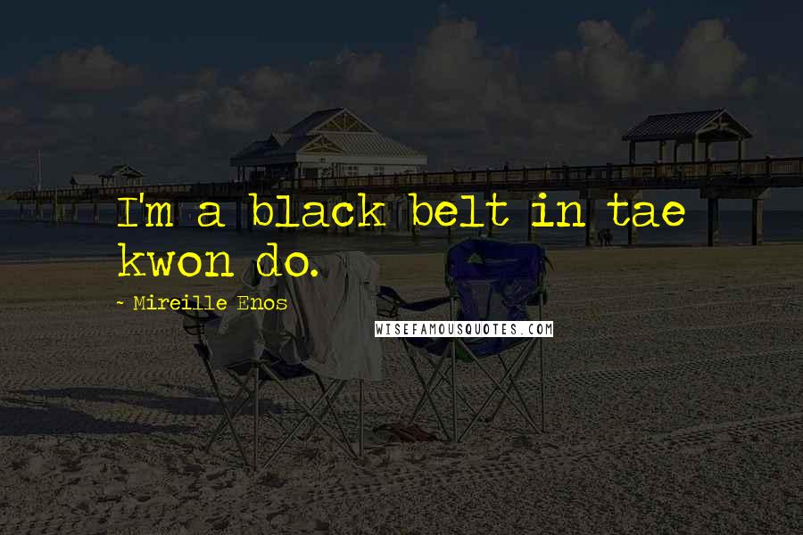 Mireille Enos Quotes: I'm a black belt in tae kwon do.