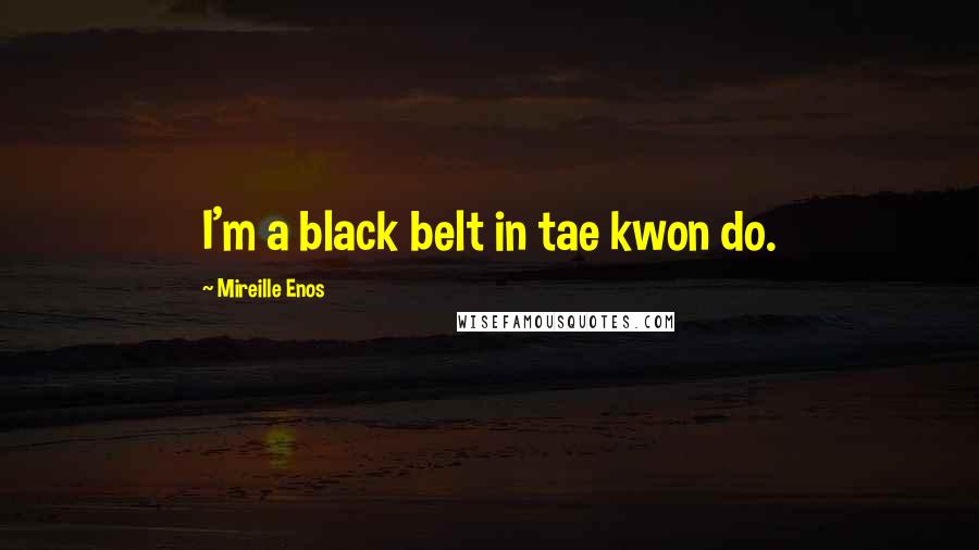 Mireille Enos Quotes: I'm a black belt in tae kwon do.