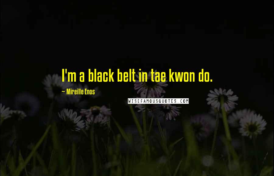Mireille Enos Quotes: I'm a black belt in tae kwon do.