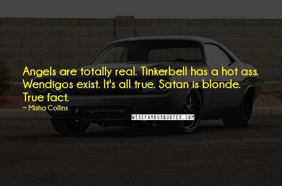 Misha Collins Quotes: Angels are totally real. Tinkerbell has a hot ass. Wendigos exist. It's all true. Satan is blonde. True fact.