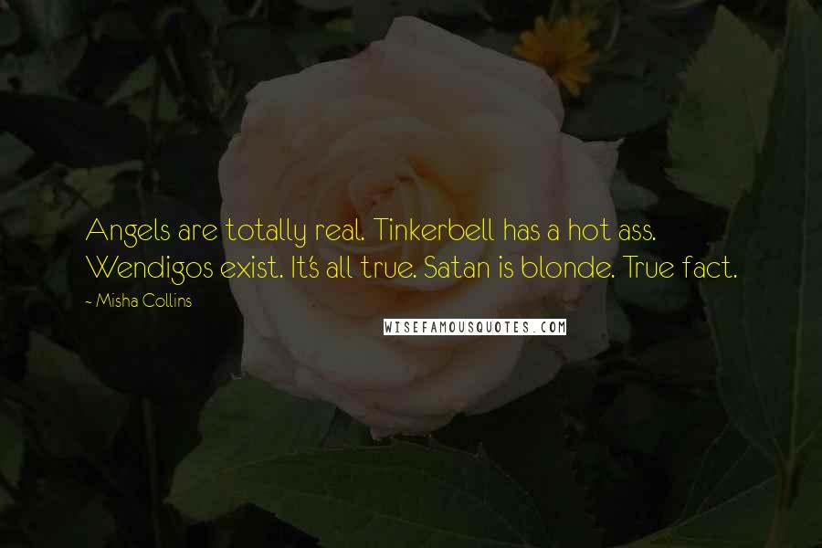 Misha Collins Quotes: Angels are totally real. Tinkerbell has a hot ass. Wendigos exist. It's all true. Satan is blonde. True fact.