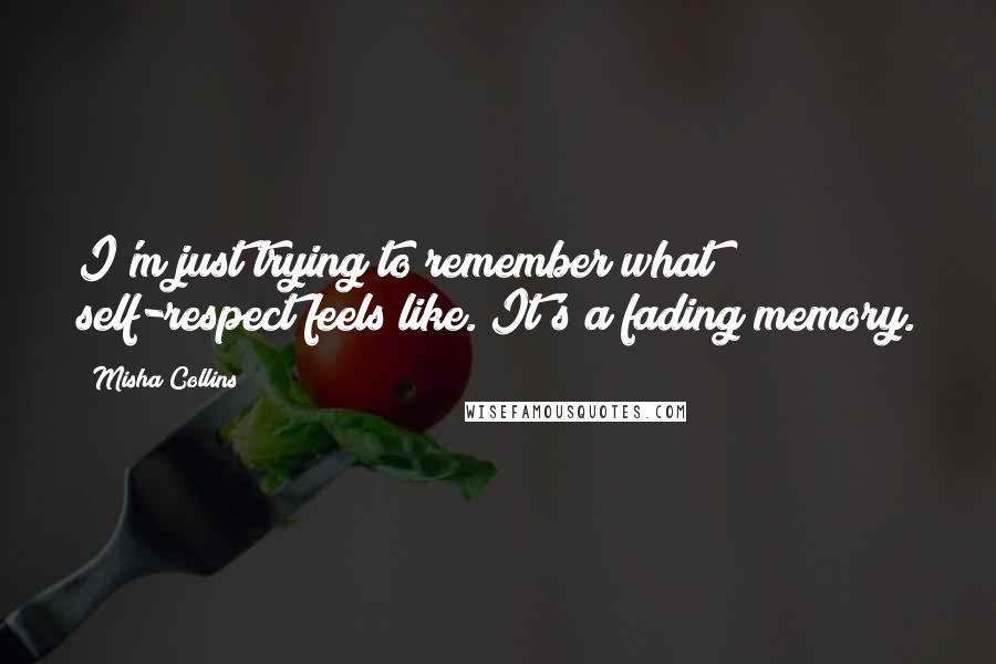 Misha Collins Quotes: I'm just trying to remember what self-respect feels like. It's a fading memory.