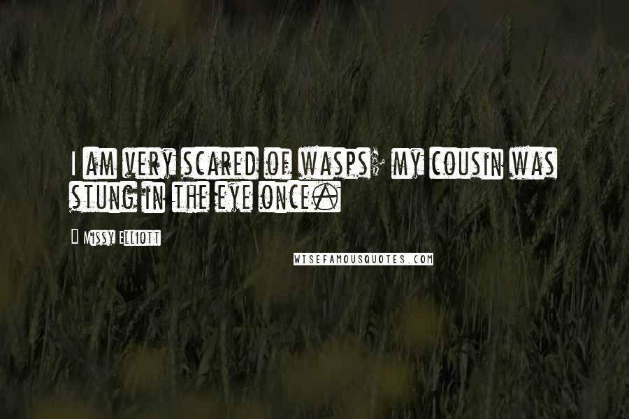 Missy Elliott Quotes: I am very scared of wasps; my cousin was stung in the eye once.