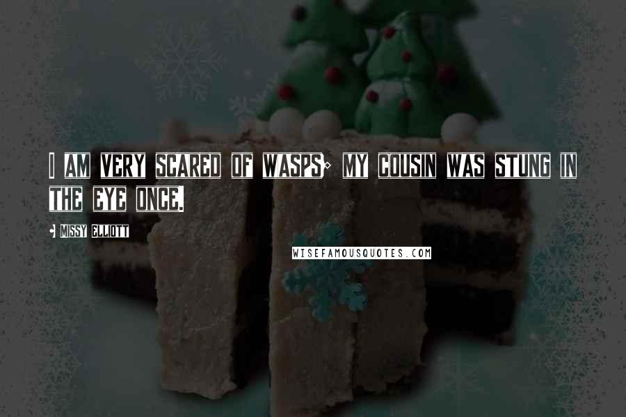 Missy Elliott Quotes: I am very scared of wasps; my cousin was stung in the eye once.