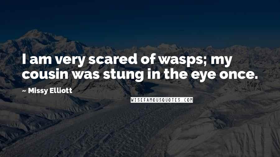 Missy Elliott Quotes: I am very scared of wasps; my cousin was stung in the eye once.