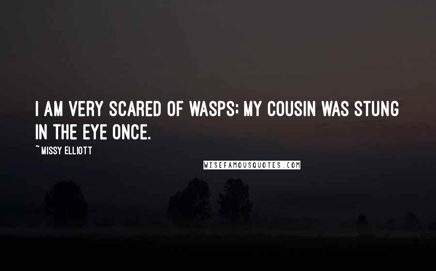 Missy Elliott Quotes: I am very scared of wasps; my cousin was stung in the eye once.