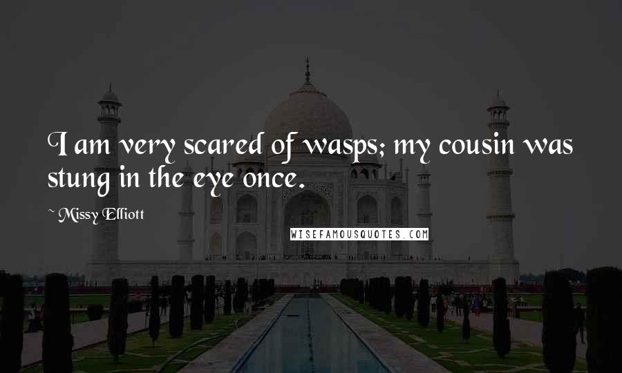 Missy Elliott Quotes: I am very scared of wasps; my cousin was stung in the eye once.