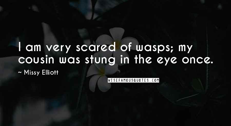 Missy Elliott Quotes: I am very scared of wasps; my cousin was stung in the eye once.