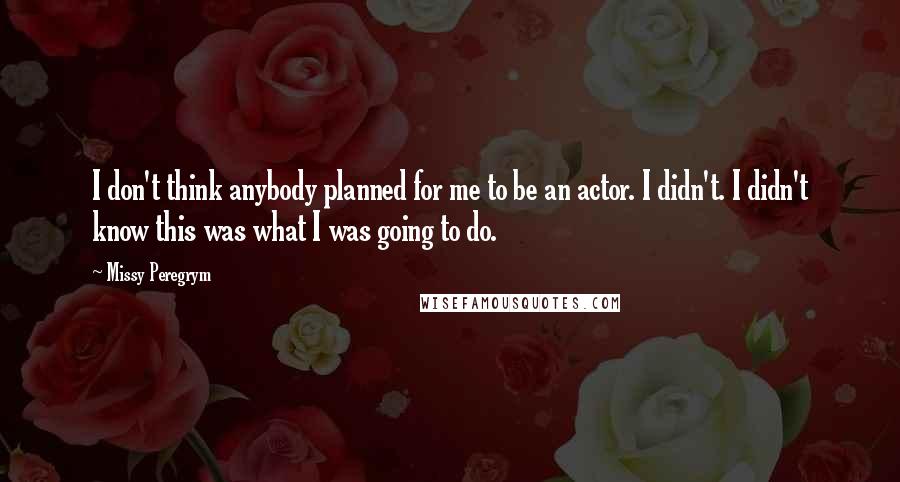 Missy Peregrym Quotes: I don't think anybody planned for me to be an actor. I didn't. I didn't know this was what I was going to do.