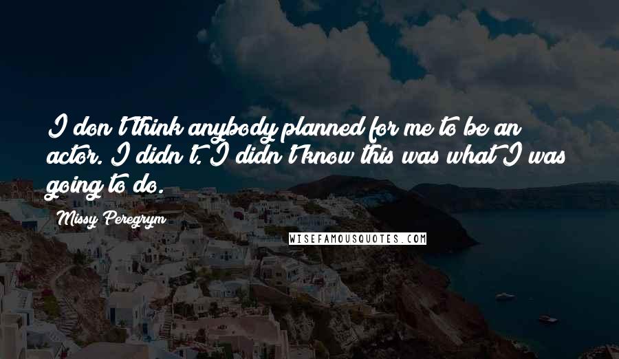 Missy Peregrym Quotes: I don't think anybody planned for me to be an actor. I didn't. I didn't know this was what I was going to do.